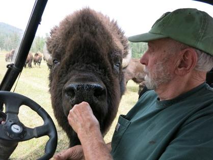 Michael Hausman feeding a Bison